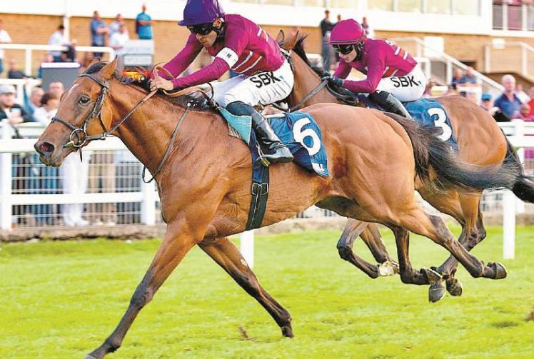 Sanitiser and Danville finish first and second for London & The South