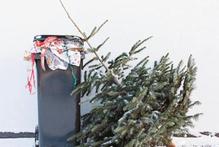 Windsor charities join forces for Christmas tree recycling service