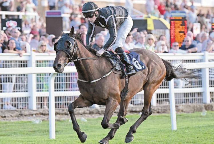 It's How We Roll ridden by Dylan Hogan enjoys another Windsor win