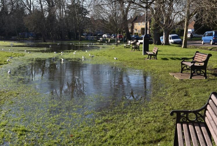 Parish decries lasting Storm Henk floodwater 'problem' in Wraysbury