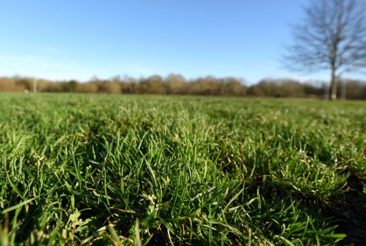 Maidenhead United invite public to help 'shape'&nbsp;new stadium proposals for Braywick Park